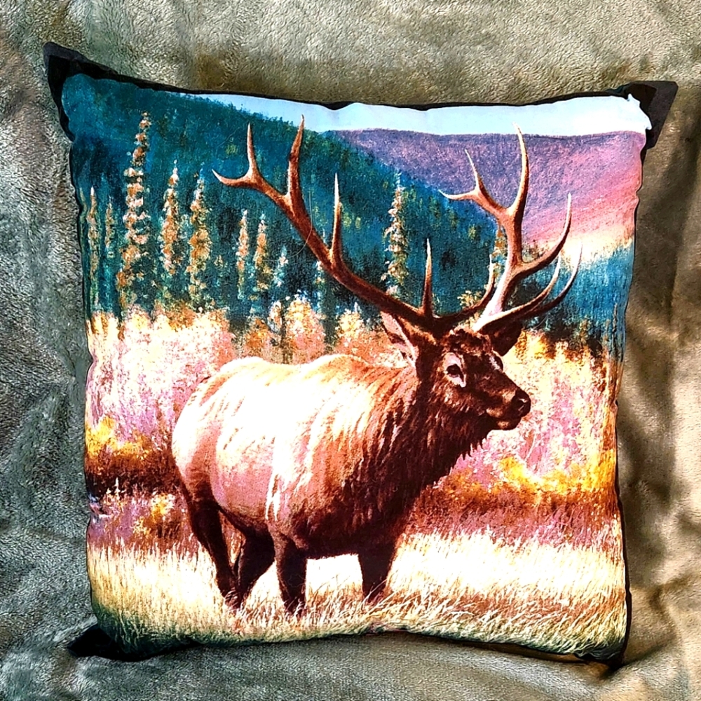 Throw Pillow